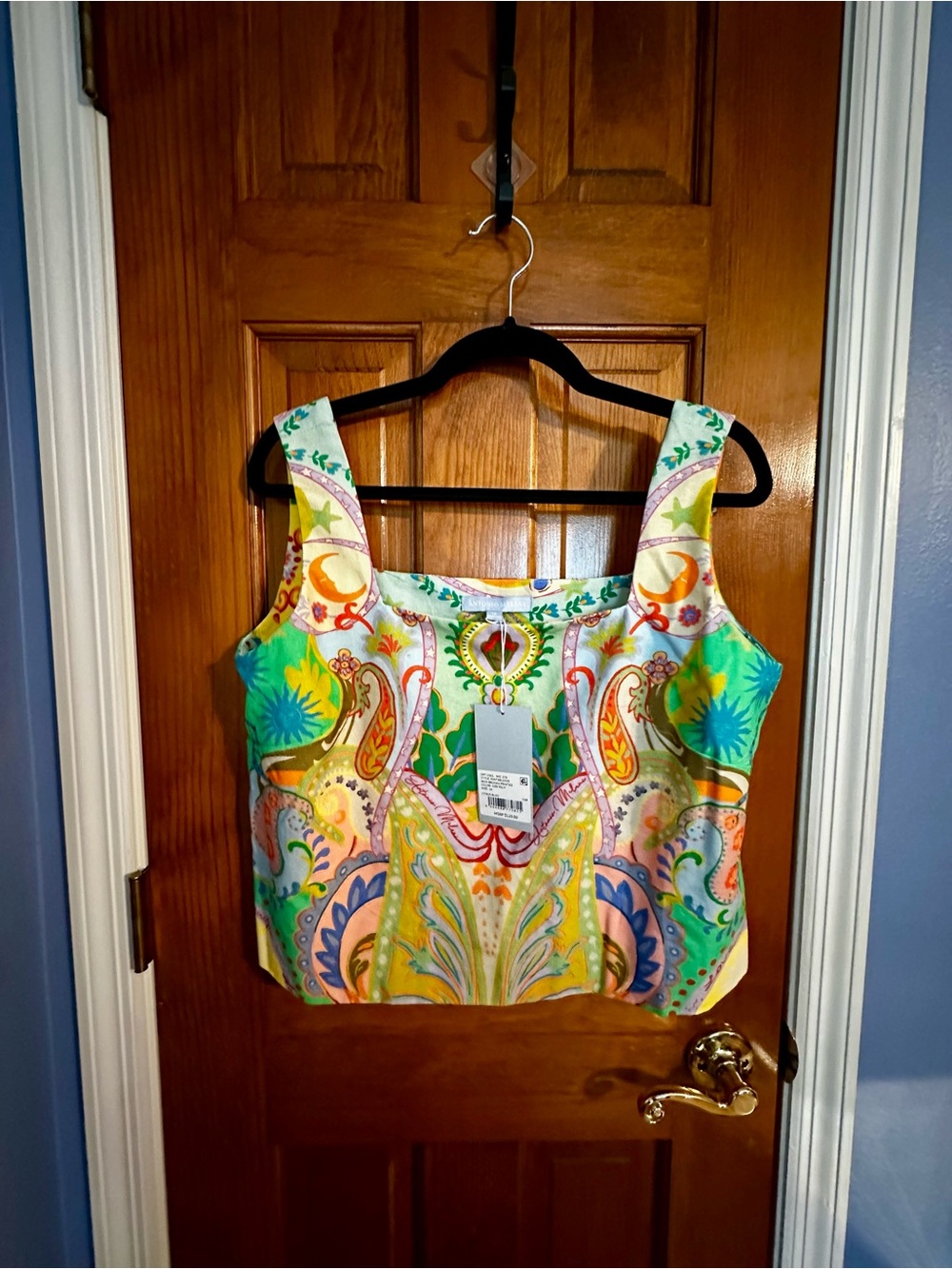ANTONIO MELANI Multicolor Paisley-Print Crop Top